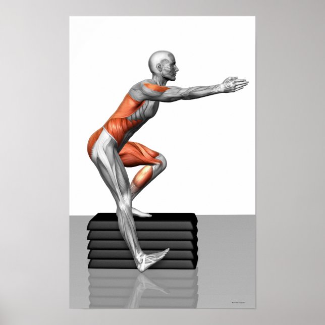 Steg-ned-övningar Poster (Framsidan)