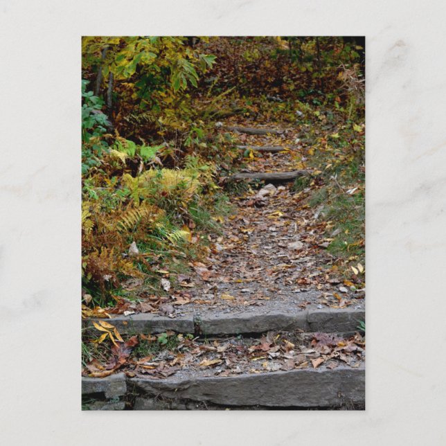 Steg på Applaachianbanan Vykort (Framsida)