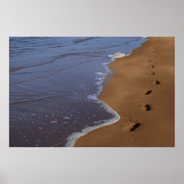 steg poster (Framsidan)