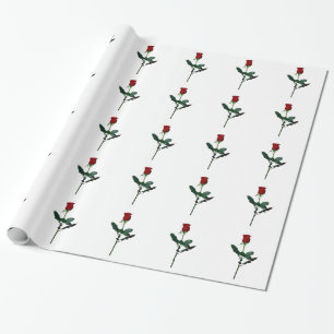 STEG PRESENTPAPPER