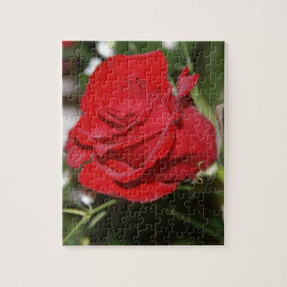 Steg Pussel