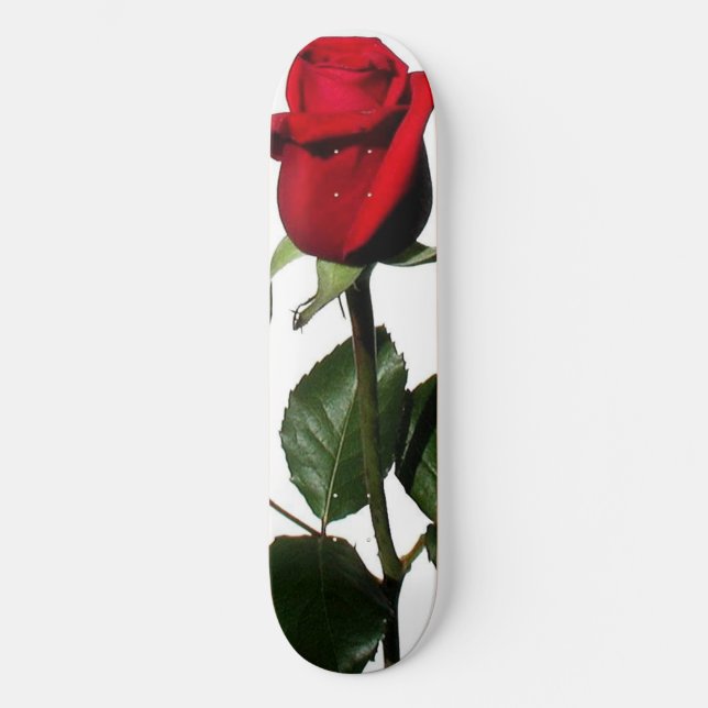 STEG SKATEBOARD BRÄDA 20 CM (Framsida)