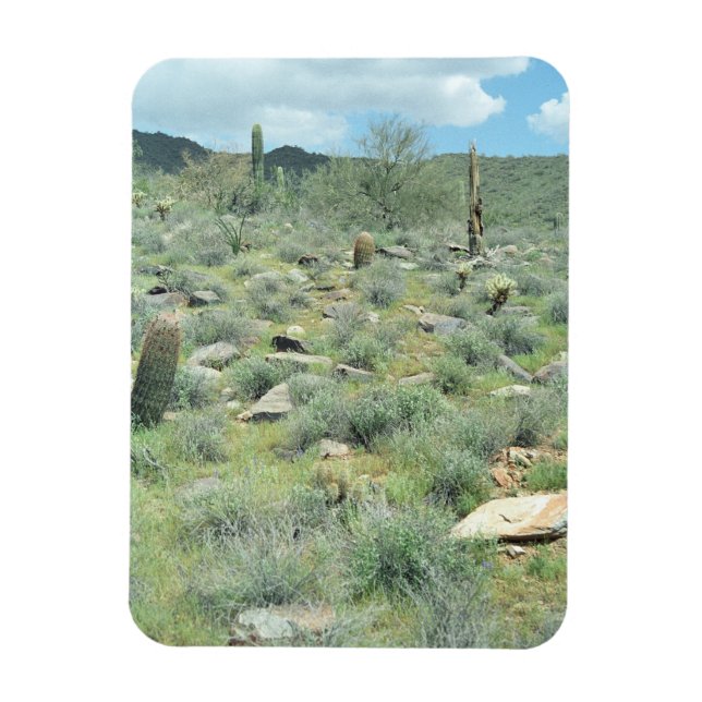 Steg Stones Decorative Western Desert Magnet (Vertikal)
