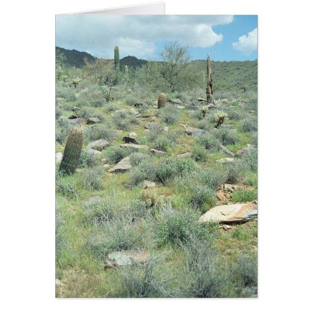 Steg Stones Desert Greeting Card eller Note Card Hälsningskort (Framsidan)