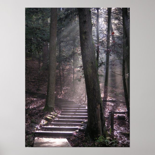 Steg till Upplysning Poster (Framsidan)