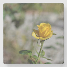 Steg trädgårds- kustfartygsamling 2 av 4