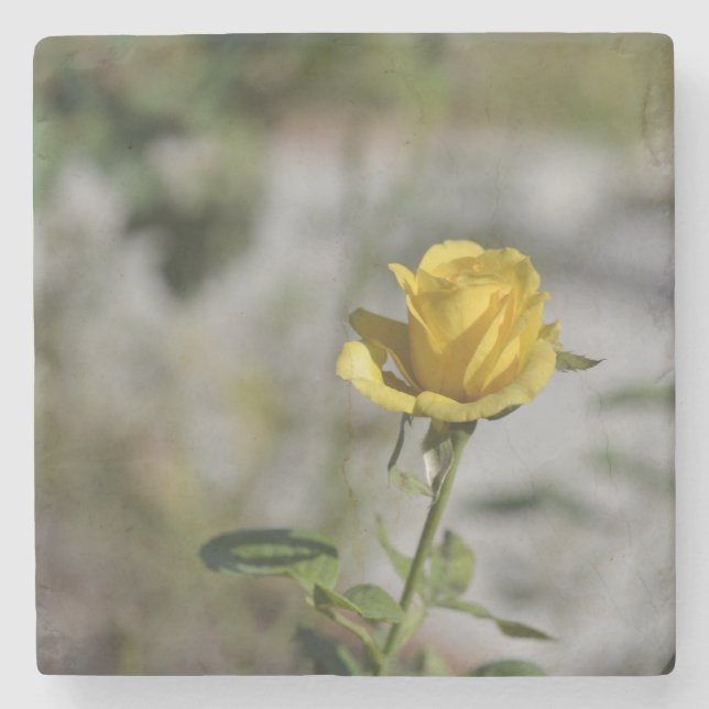 Steg trädgårds- kustfartygsamling 2 av 4 underlägg sten (Framsidan)