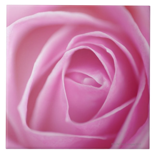 Steg Tysklandet Kakelplatta (Framsidan)