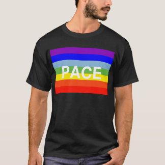 stega flagga t shirt