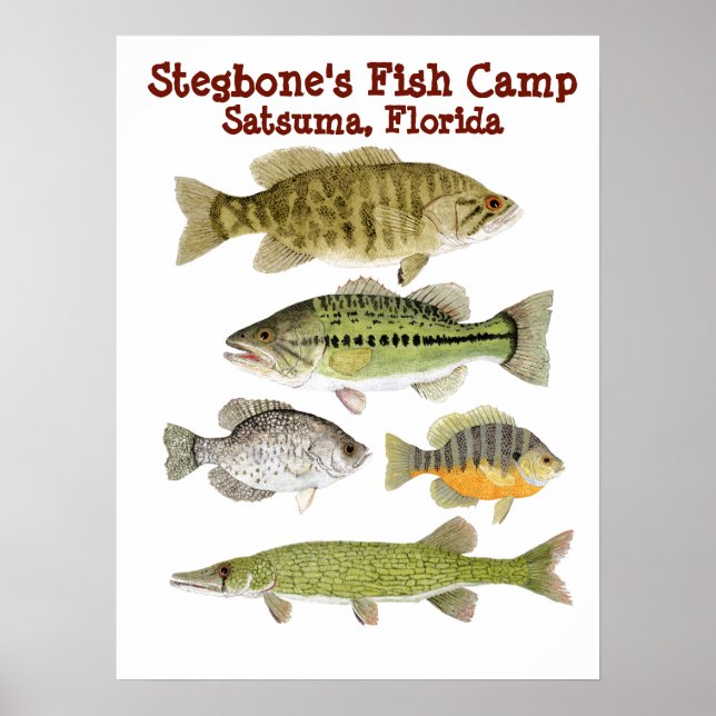 Stegbone's Fish Camp Poster (Framsidan)