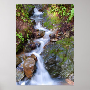 Stegfall Poster