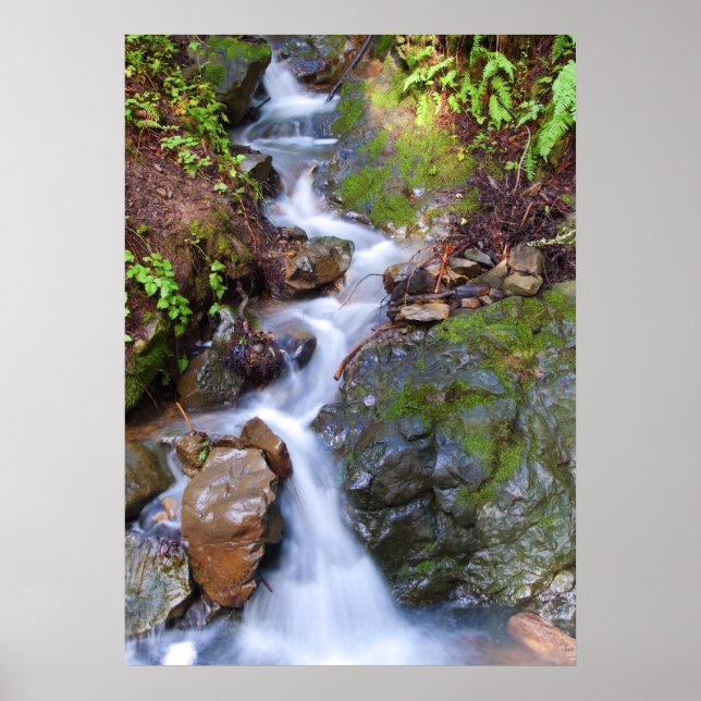 Stegfall Poster (Framsidan)