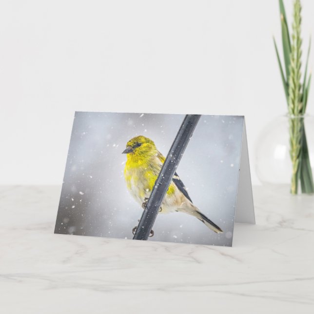 Steglits i snö Falt julkort Helgkort (Framsida)