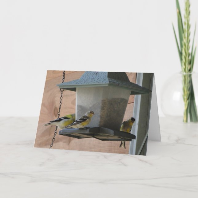 Steglits/jubel Kort (Framsida)