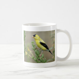 Steglits Kaffemugg