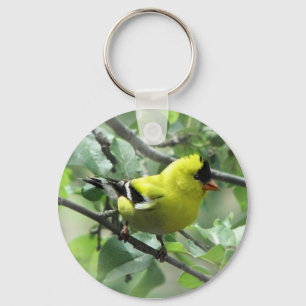 Steglits Keychain Nyckelring