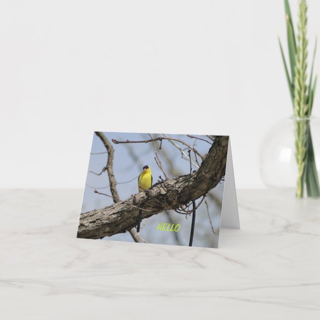 Steglits ljust och glatt kort (Framsida)