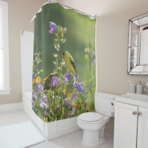 Steglits på en blåklocka    