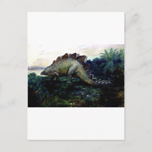 stegosaurus-4 vykort (Framsida)