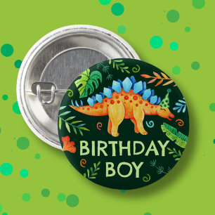 Stegosaurus Birthday Boy Dinosaur Prehir Knapp