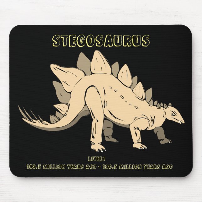 Stegosaurus Dinosaur Musmatta (Framsidan)