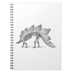 Stegosaurus Dinosaur Skeleton Fossil Anteckningsbok