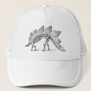 Stegosaurus Dinosaur Skeleton Fossil Keps