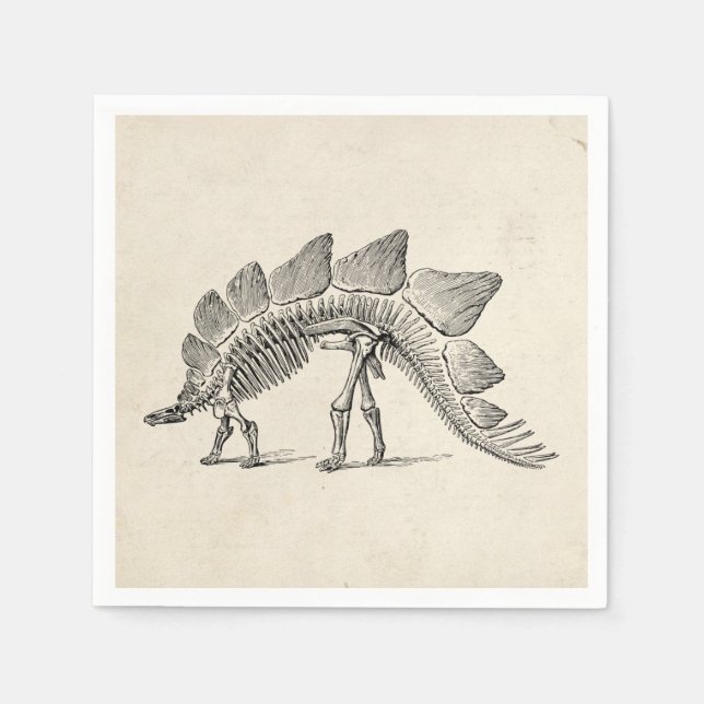 Stegosaurus Dinosaur Skeleton Fossil Pappersservett (Framsidan)