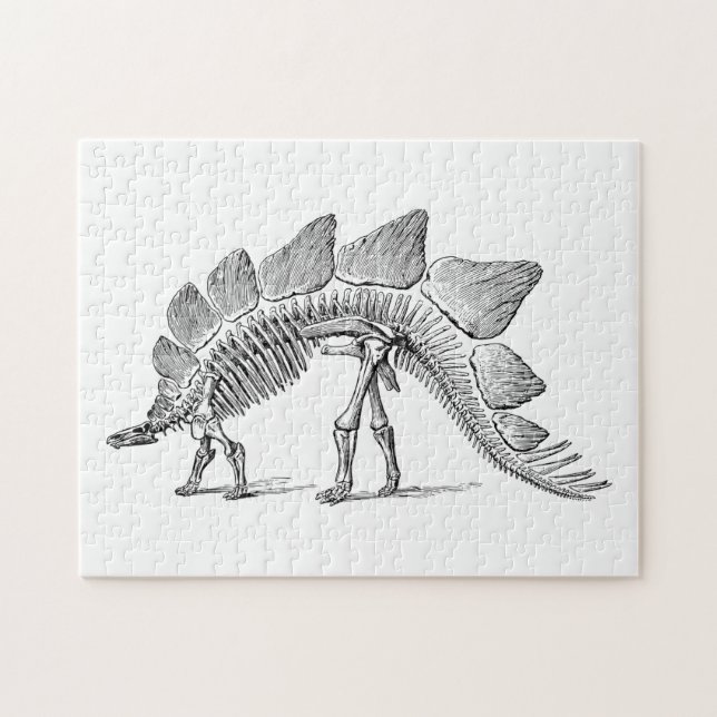 Stegosaurus Dinosaur Skeleton Fossil Pussel (Horisontell)