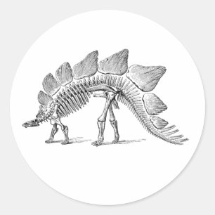 Stegosaurus Dinosaur Skeleton Fossil Runt Klistermärke