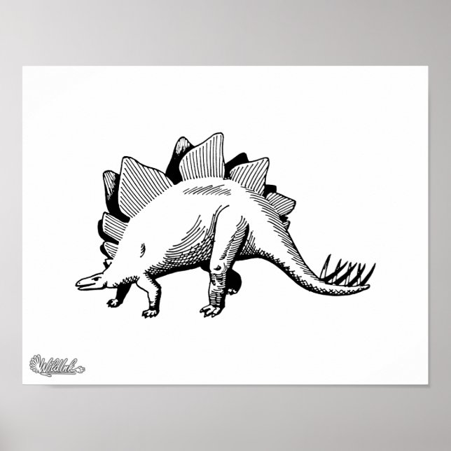 Stegosaurus Poster (Framsidan)