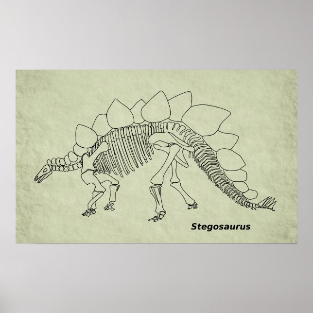 Stegosaurus Skeleton Poster (Framsidan)