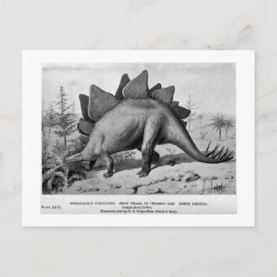 Stegosaurus ungulatus konst vykort