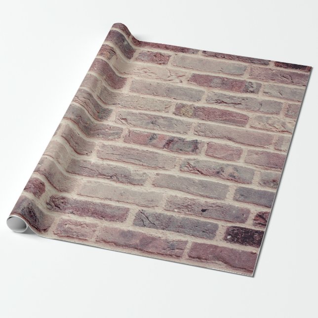 Stegstenar Presentpapper (Utrullad)