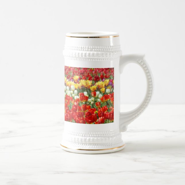 Stein Tulpan Festival Blommor Fält Steins Sejdel (Höger)