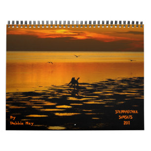 steinhatcheesolnedgångar 2011 kalender
