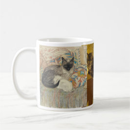 Steinlen katter, fyra av dem kaffemugg