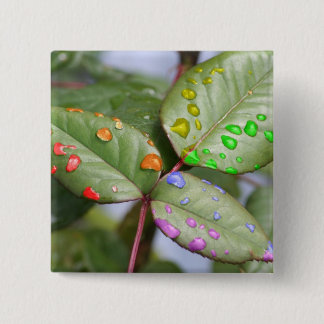 Stekflott med pride knapp