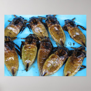 Stekt jättevattenbug (Maeng Daa) ... asiatisk mat Poster