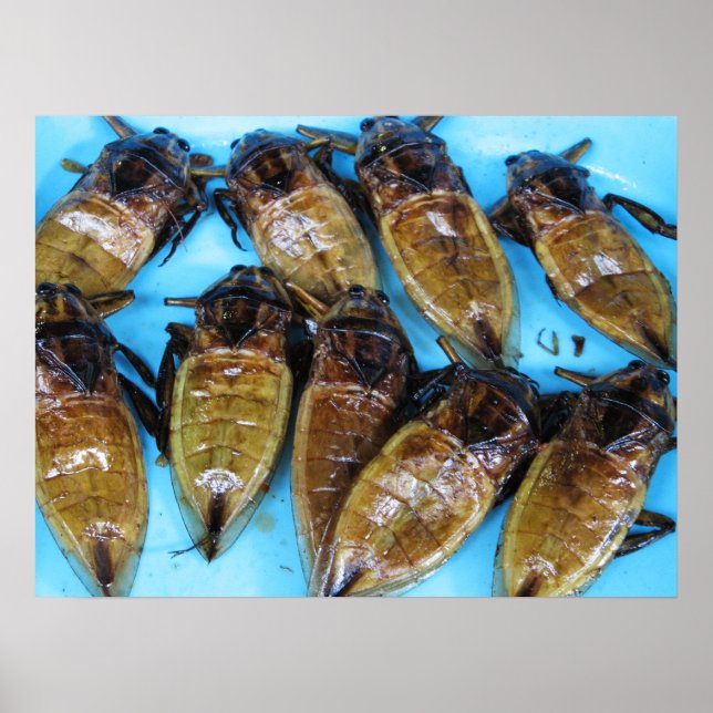 Stekt jättevattenbug (Maeng Daa) ... asiatisk mat Poster (Framsidan)
