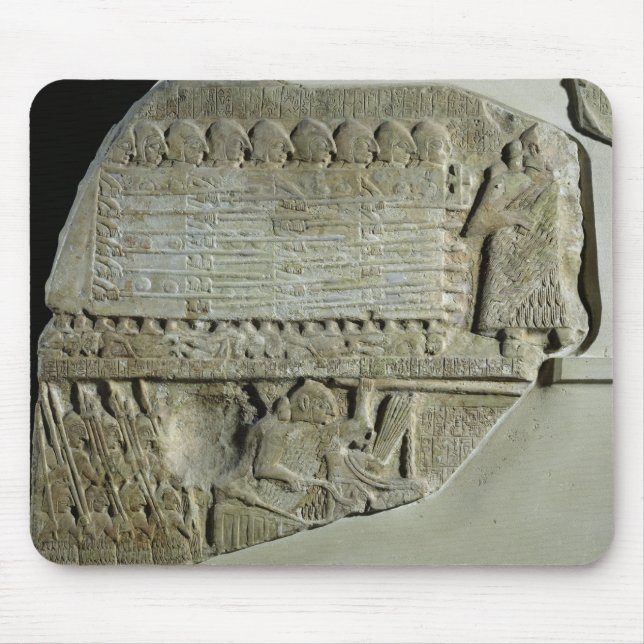 Stele av gammen musmatta (Framsidan)