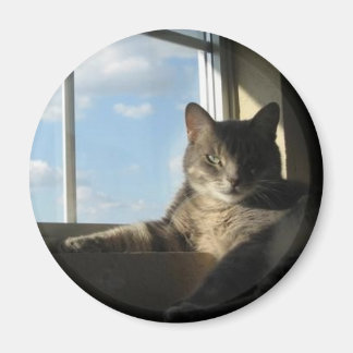 Stella-fönstermagnet Magnet