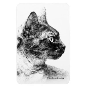 Stella Grått Cat Magnet