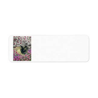 Stella in Flowers I - Chocolate Cream Siamese Cat Returadress Etikett