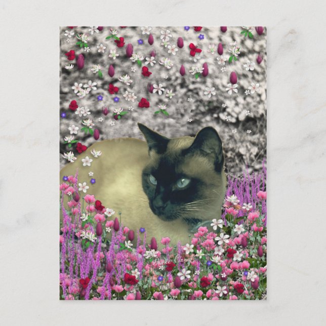 Stella in Flowers I - Chocolate Cream Siamese Cat Vykort (Framsida)