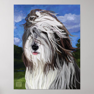 Stella the English Sheep Hund Poster