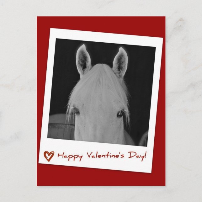 Stella Vykort (Framsida)