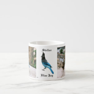 Stellar Blue Jay espresso mugg Espressomugg