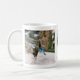 Stellar Blue Jay mugg
