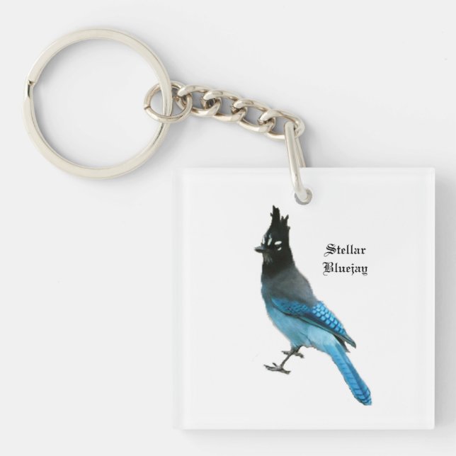 Stellar Blue Jay nyckelring (Framsidan)